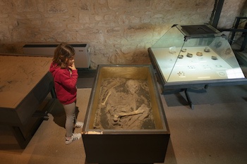 Museo e parco Archeologico di Venosa