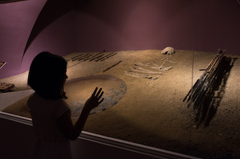 Museo Archeologico Nazionale di Muro Lucano