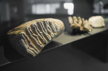 01-museo-archeologico-nazionale-grumento-nova
