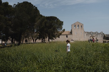 Meseo e Parco Archeologico Nazionale di Venosa 