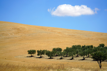 masseria-riccardi-matera
