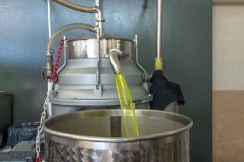 olio-extraverginedioliva-matera