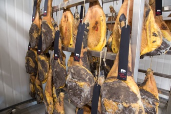 Salumi Casa Rago
