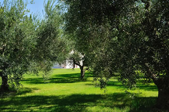 Agriturismo L’Orto di Lucania - Ristorante