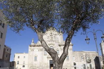 Osteria San Francesco - Matera