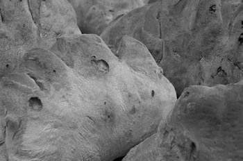 Perrone Il Forno di Gennaro - Matera