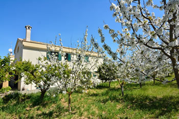 Colle Igino - B&B Matera