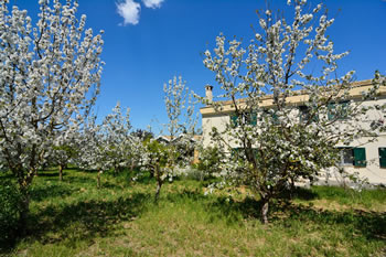 Colle Igino - B&B Matera