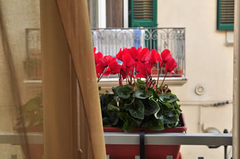 Donna Eleonora B&b Matera