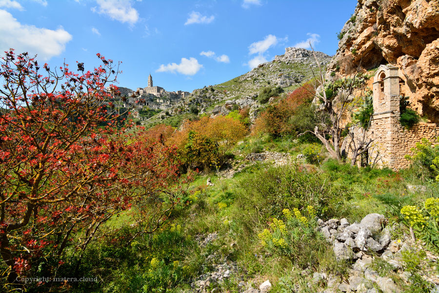visite guidate nel parco della murgia
