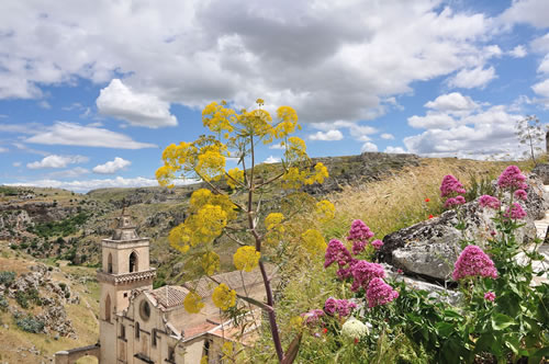 Sassi di Matera